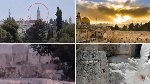תופעות לא מוסברות שקורות בזמן האחרון בכותל המערבי